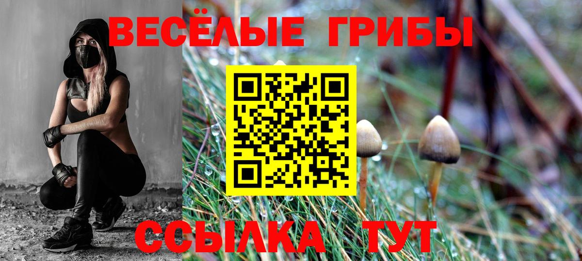 Галлюциногенные грибы прущие грибы Тверь